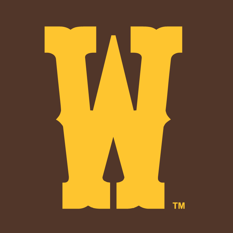 Wyoming Cowboys 2013-Pres Secondary Logo v2 iron on transfers for T-shirts